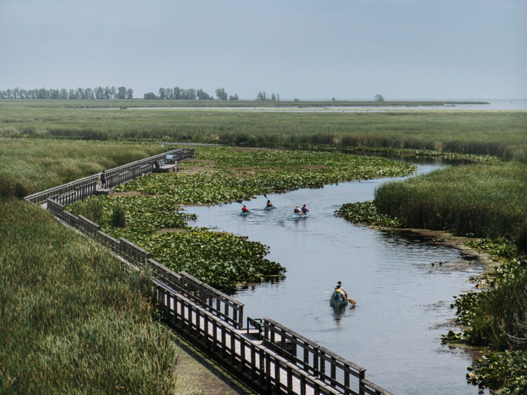 Point Pelee National Park Marshland Boarwalk