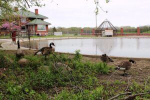 Jack Miner Bird Sanctuary